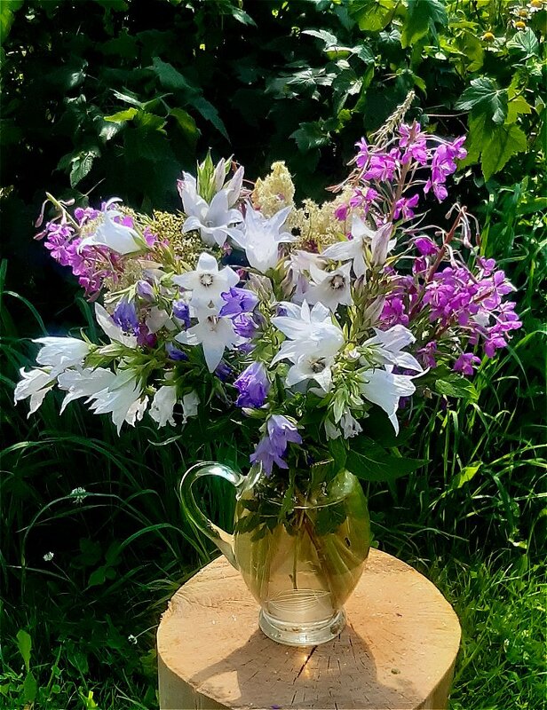 Летний букет! - Нина Андронова