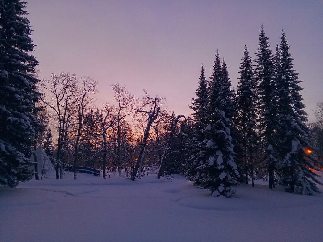 Рассвет - Сапсан 