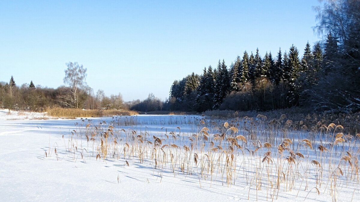 Зима в начале февраля. - Милешкин Владимир Алексеевич 
