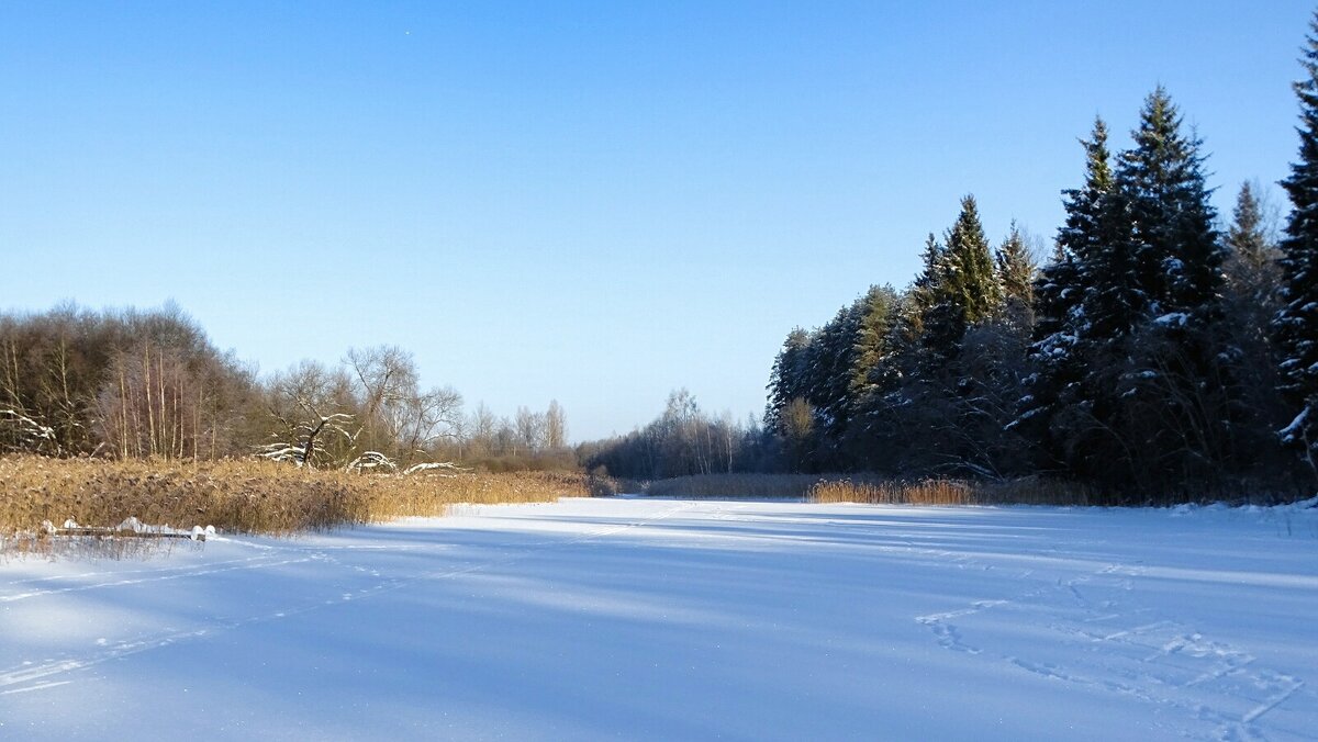 Зимний пейзаж. - Милешкин Владимир Алексеевич 