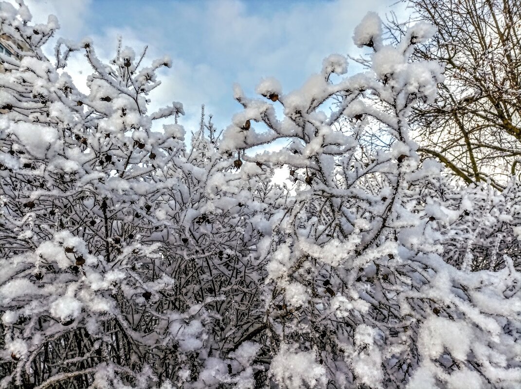 В парке Тондилоо - Veera V