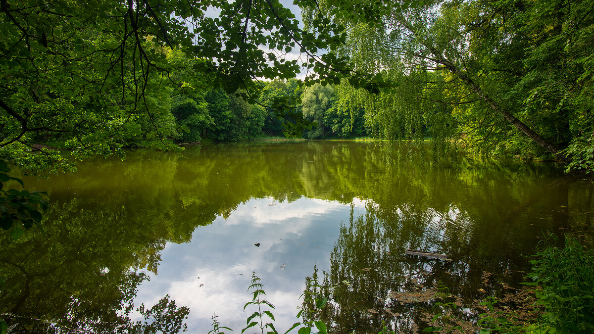 Тенистый пруд - Владимир Лазарев