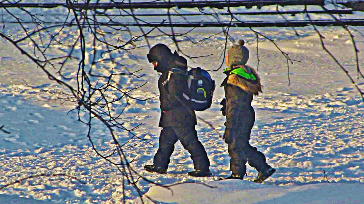 В февральский денек из школы с отличными отметками! - Владимир 