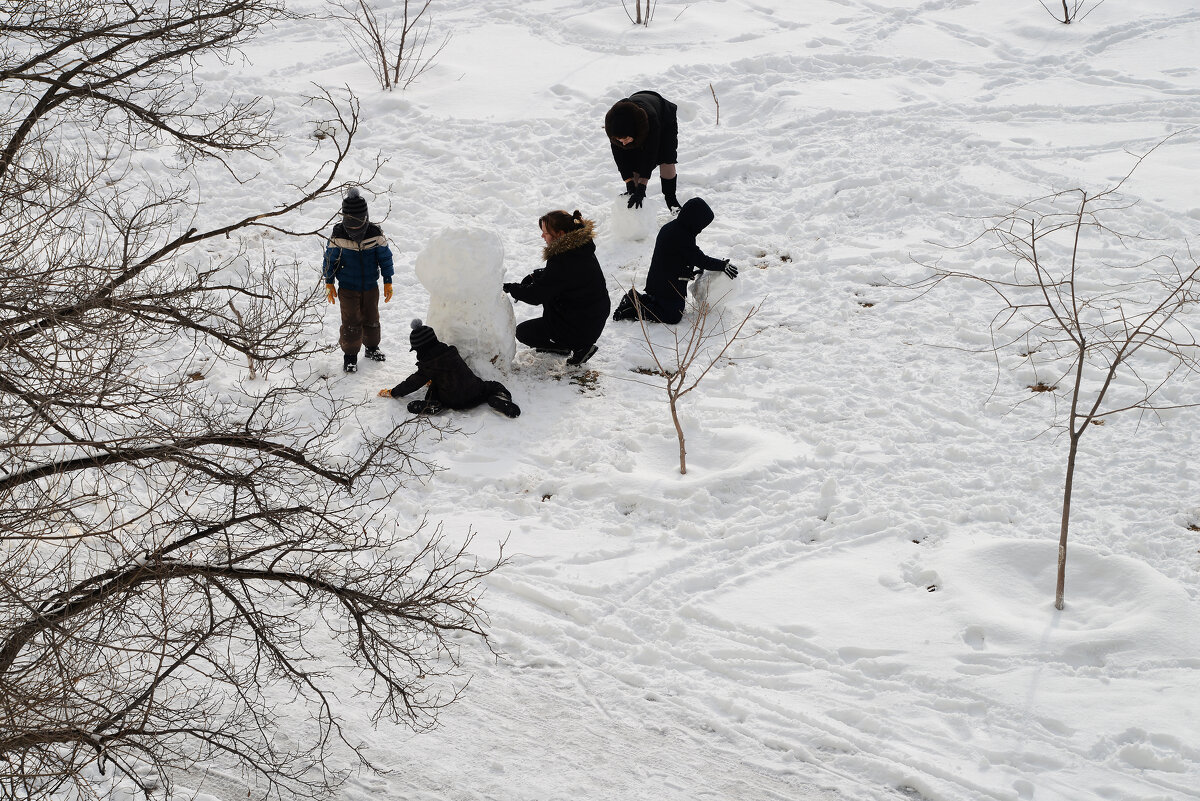 Долгожданный снег - Анатолий Чикчирный