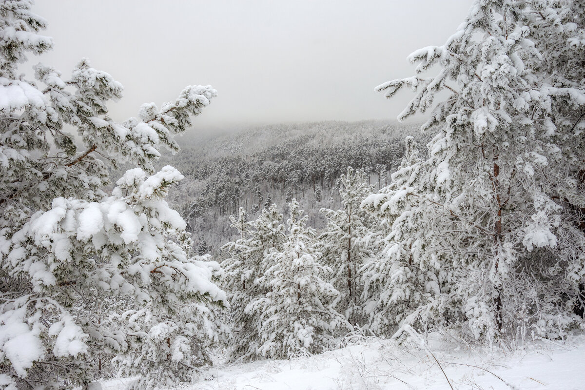 Зимний туман - Наталья Димова
