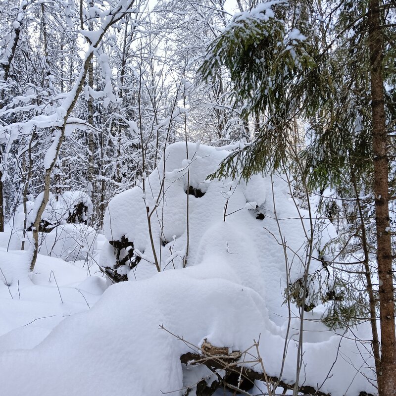 куча мала - Владимир 