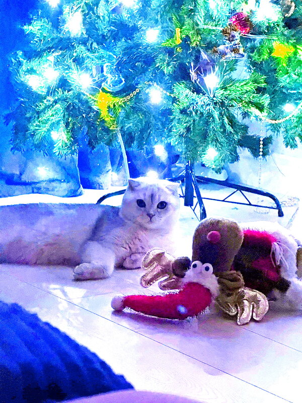 Лукас в Новый год. - Александр Владимирович Никитенко