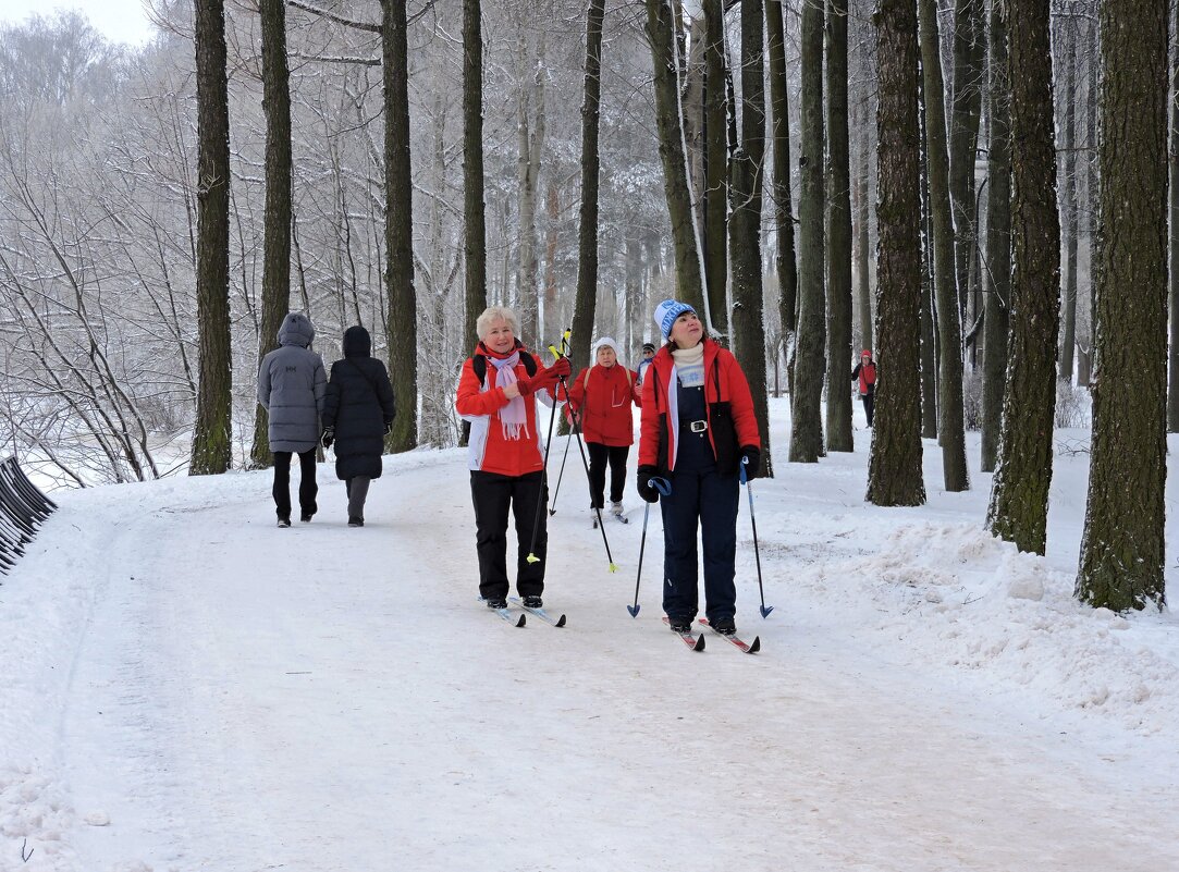 Хорошо на лыжах зимой - Мария Васильева