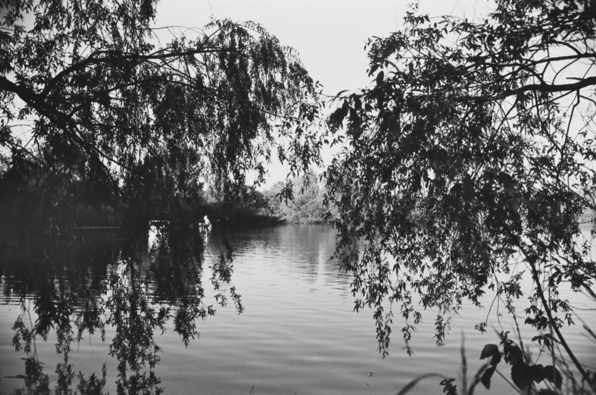 . - Дмитрий Шароватов