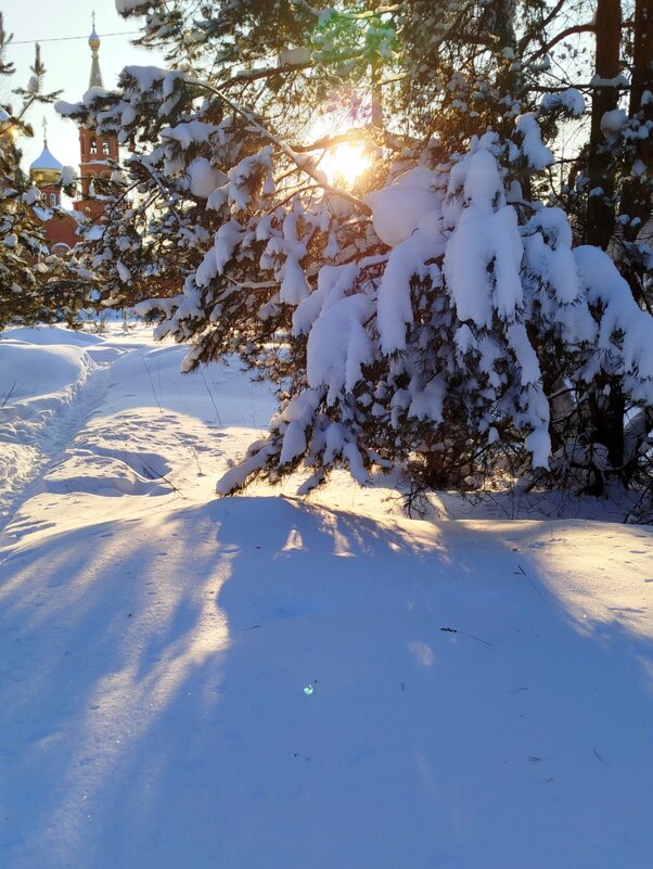 В зимний день☀️ - светлана льдокова