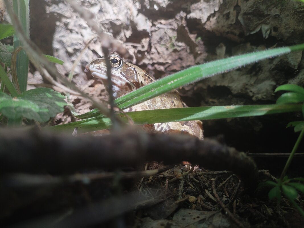 вечерние посиделки - Лидия Меркулова