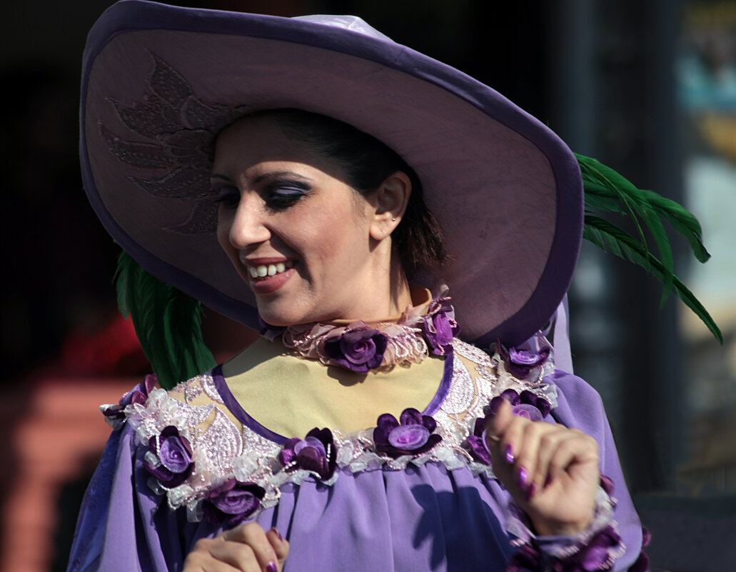 Дама в шляпочке... - Valziwa 