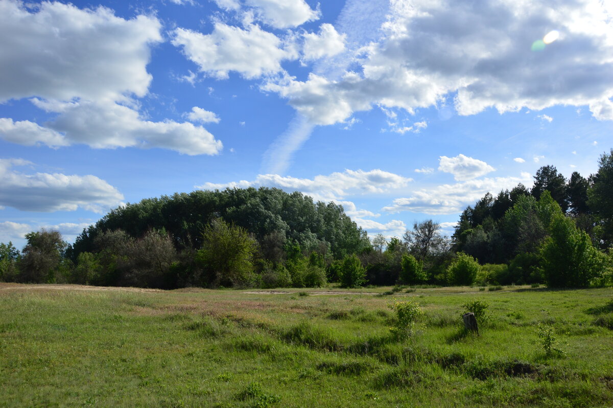 Весна. - Виктор 