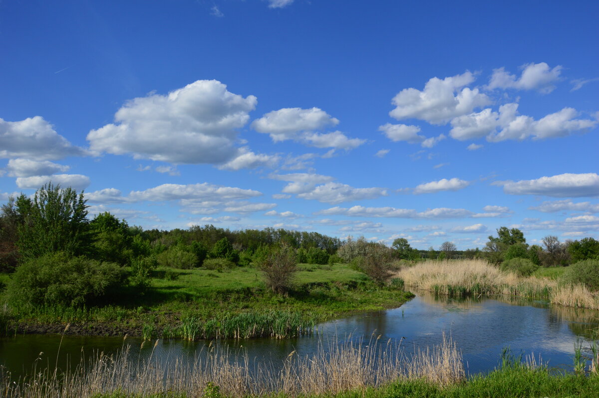 У реки. - Виктор 