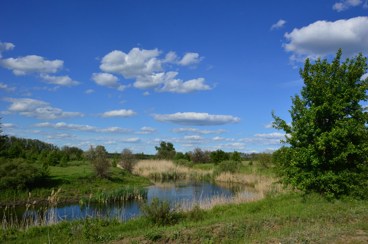 Донские зарисовки. - Виктор Донские зарисовки. - Виктор