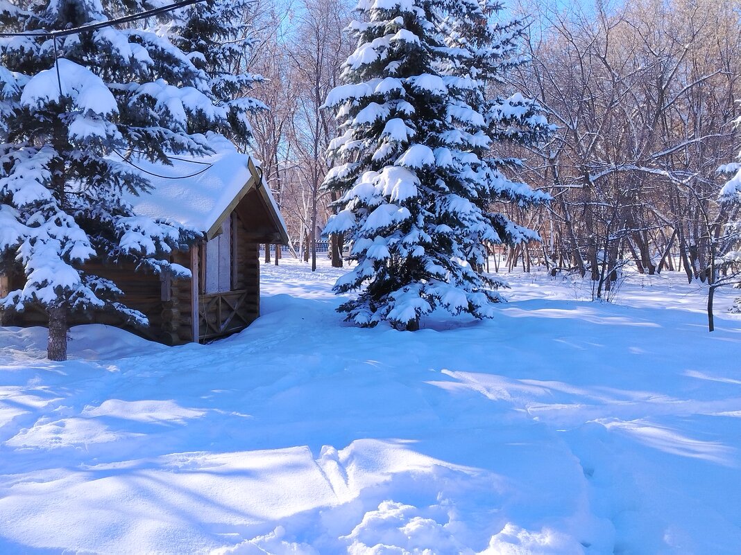 После снегопада - Надежда 