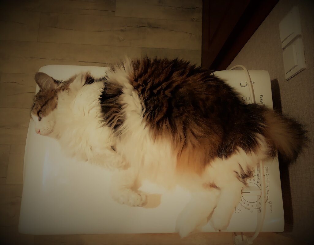 Лучшее место для сна - Nora Nowhere