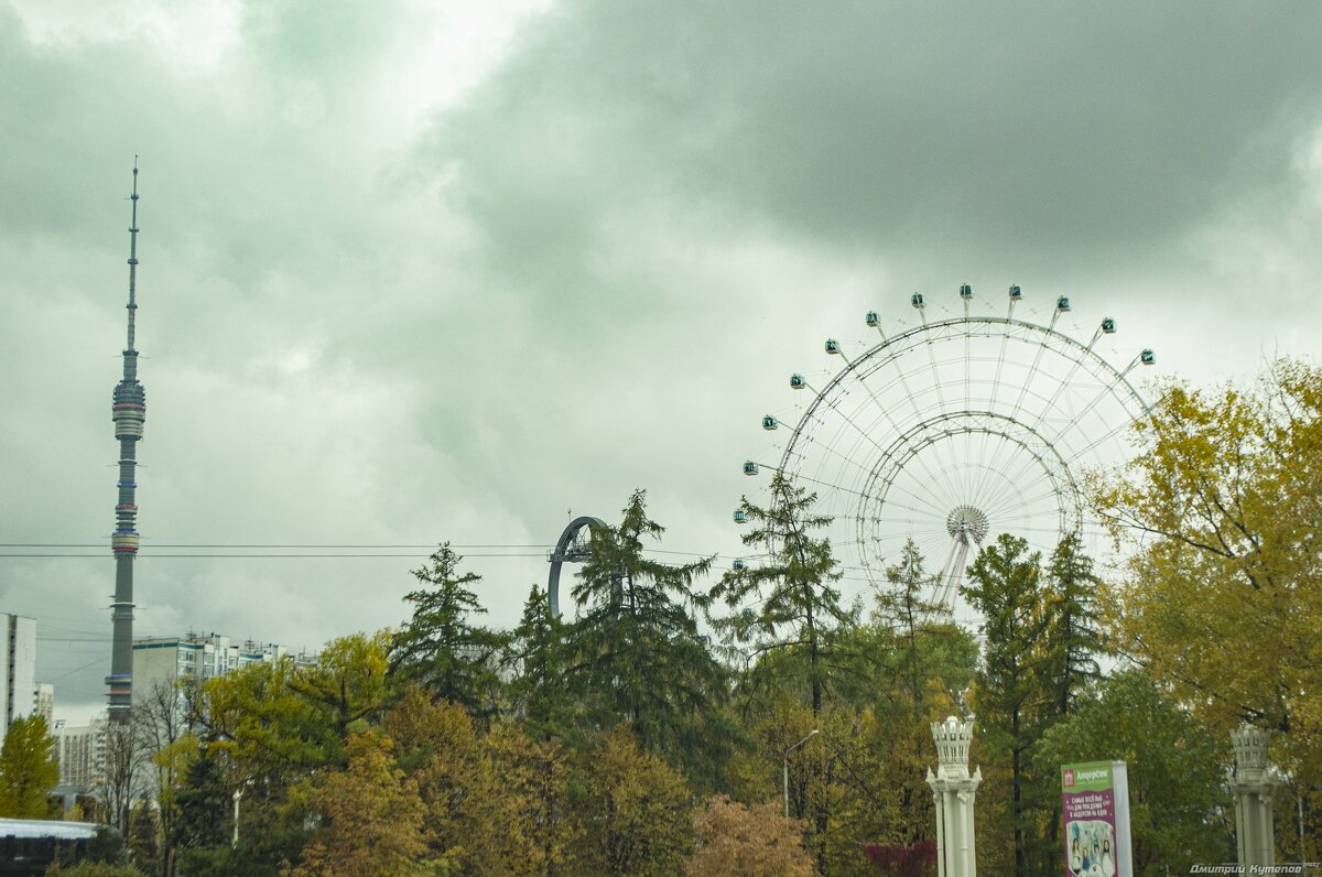 Центр - Дмитрий Кутепов