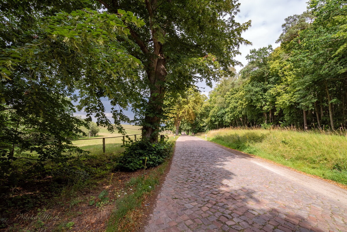 По брусчатке... - Николай Гирш