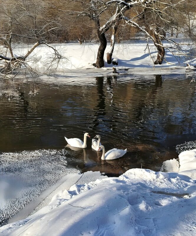 Февраль на реке - Игорь Сычёв