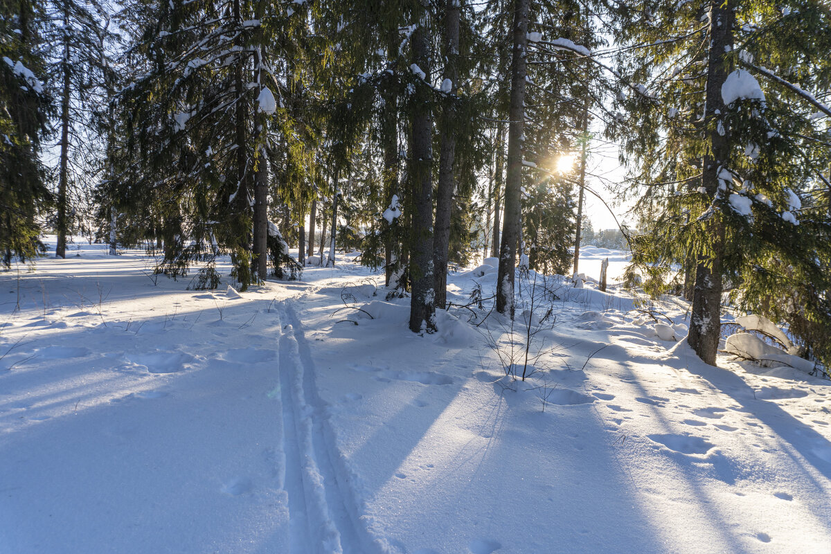 Солнечный день февраля - Сергей Ц