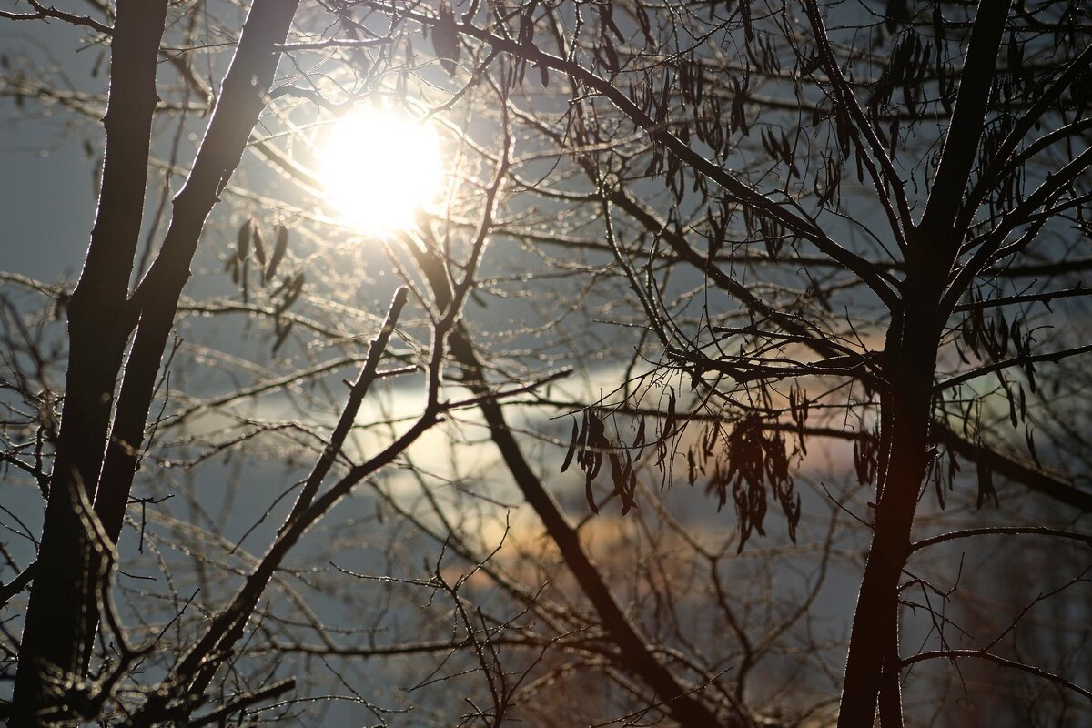 Зимний этюд. - Сергей Рожков