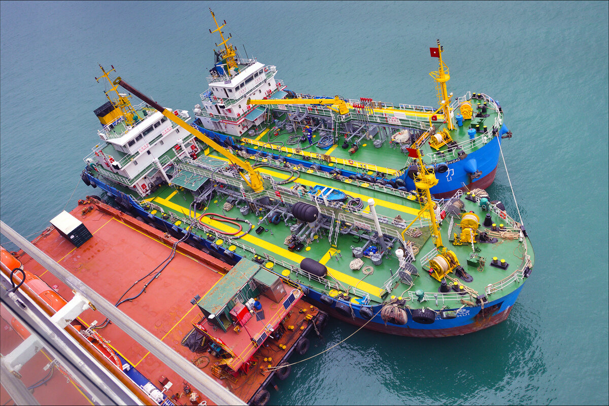 Анатомия и физиология скромных тружеников моря - Валерий Готлиб