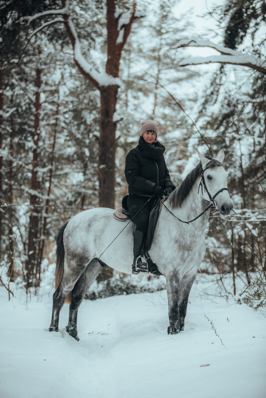 Прогулка по зимнему лесу - Дмитрий 