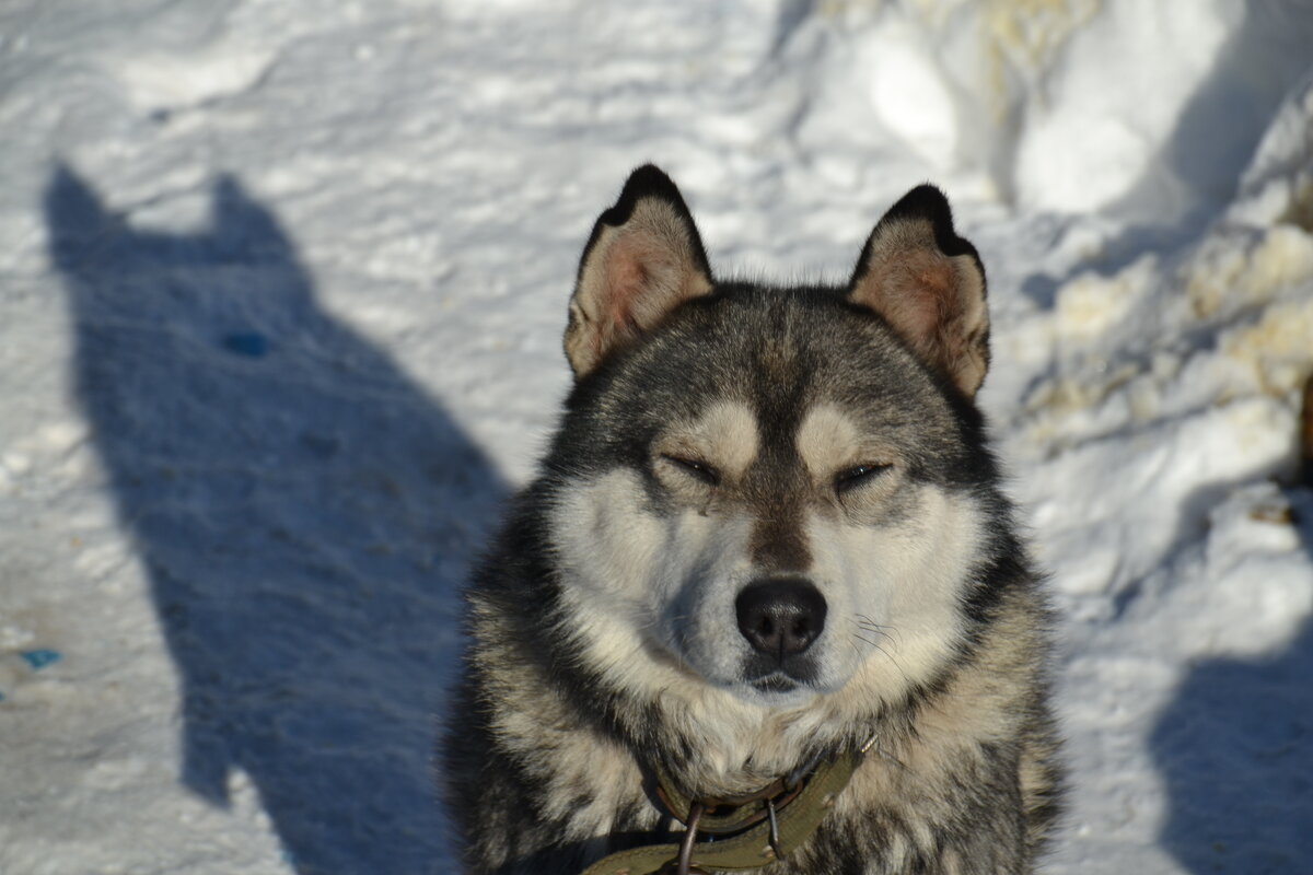 Мой Конфуций)) - Prizrak 777