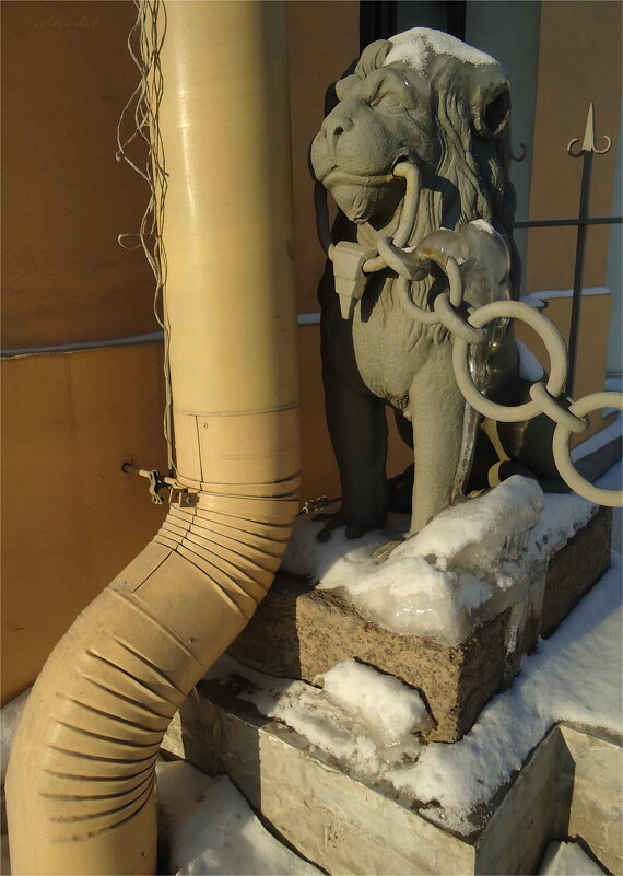 ...А кому нынче легко? - sv.kaschuk 