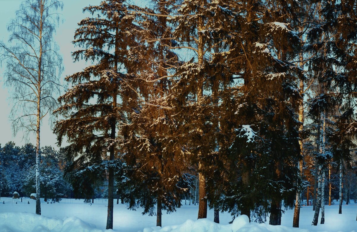 Краски зимы - Валерия Ширковцова