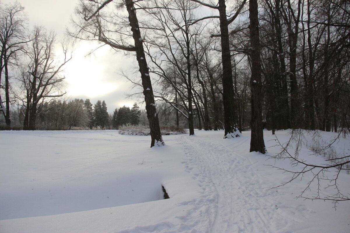 Парк Александрия - Наталья Герасимова