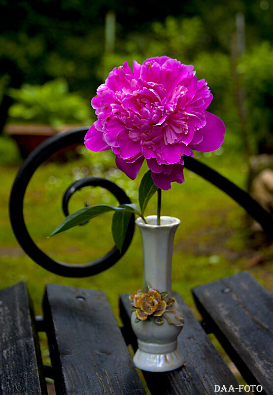 ПИОН. - Александр Дмитриев