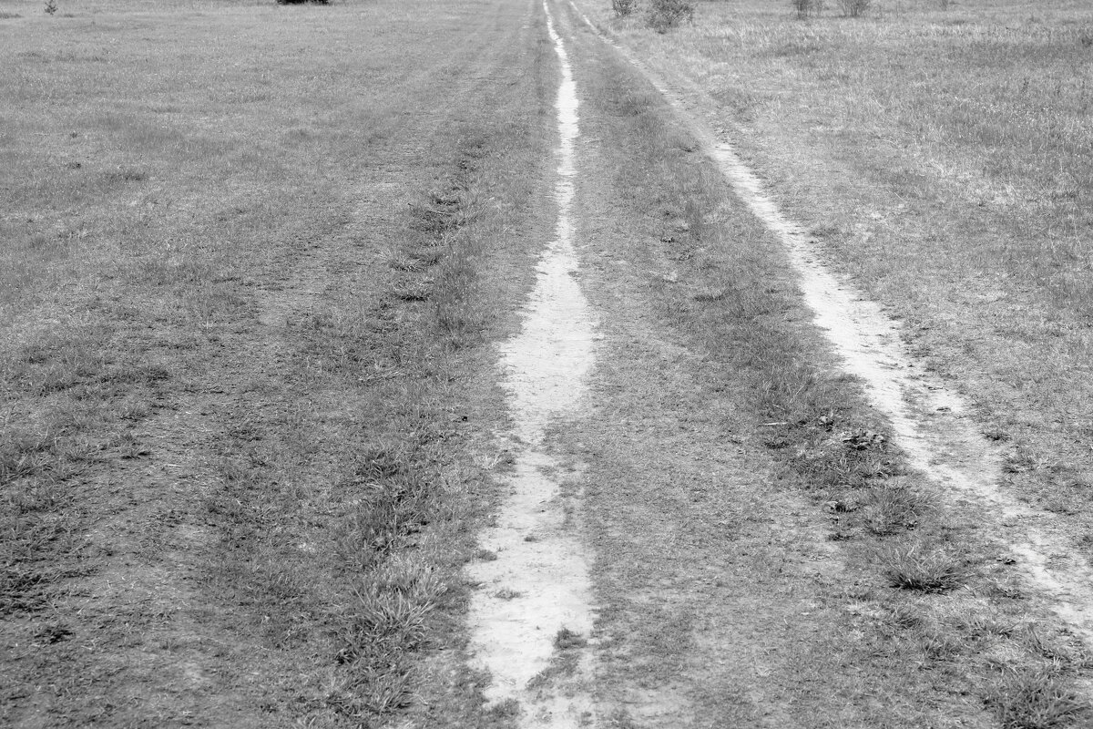 Фотография - Денис Безногов