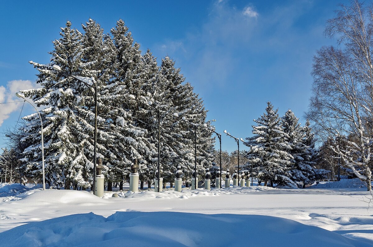 *** - Виктор Иванович Чернюк