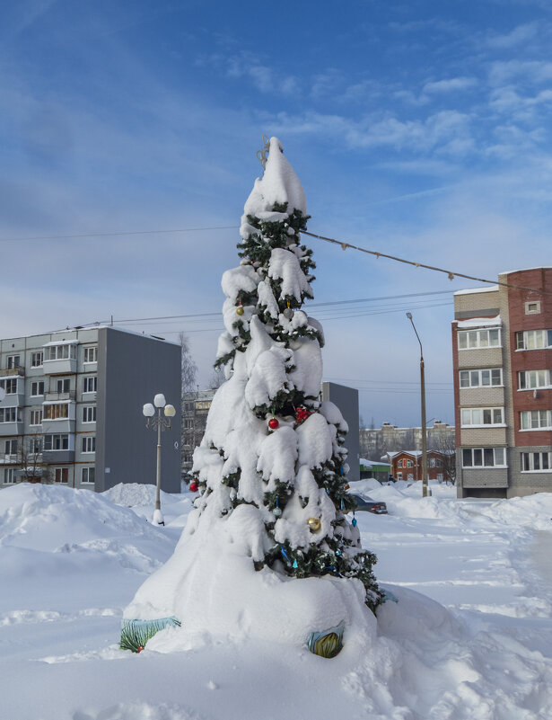 Теперь уж до апреля - Сергей Цветков