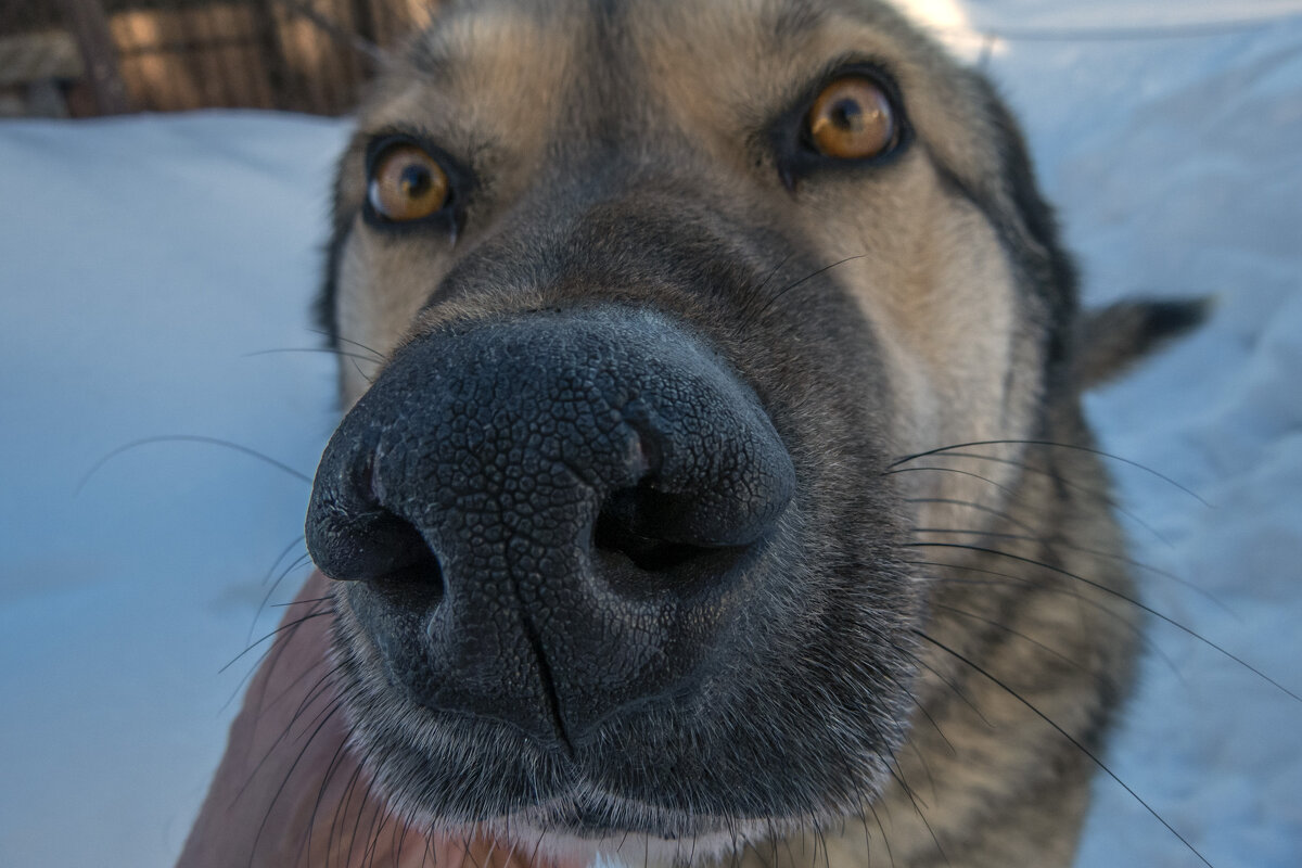 Упс - Сергей Цветков