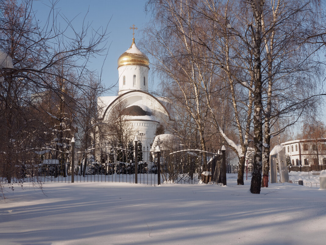 Чудесная погода февраля. - Николай 