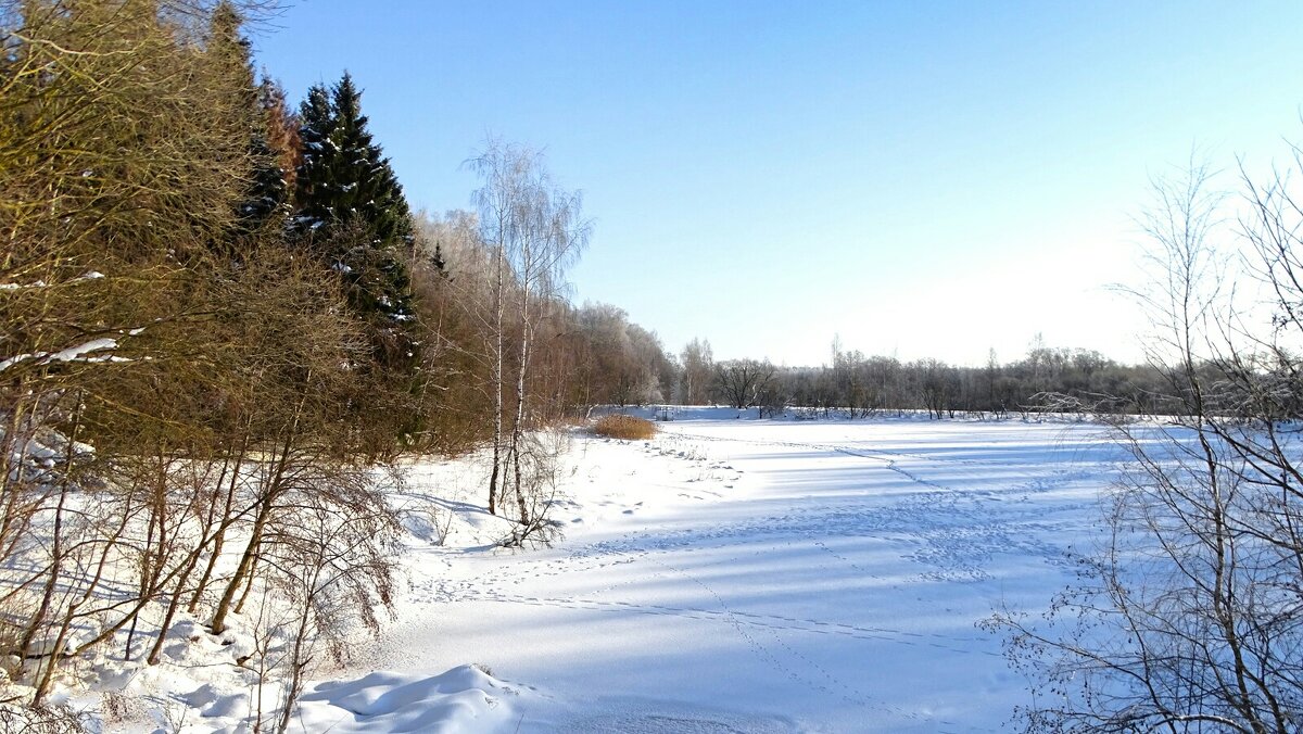 Зима в начале февраля. - Милешкин Владимир Алексеевич 