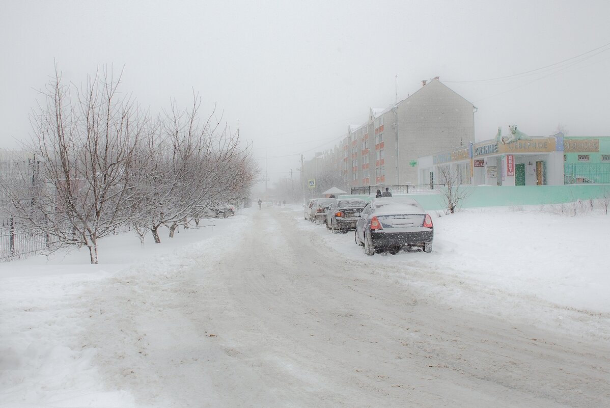 Этюд в белых тонах ... - Ravile 