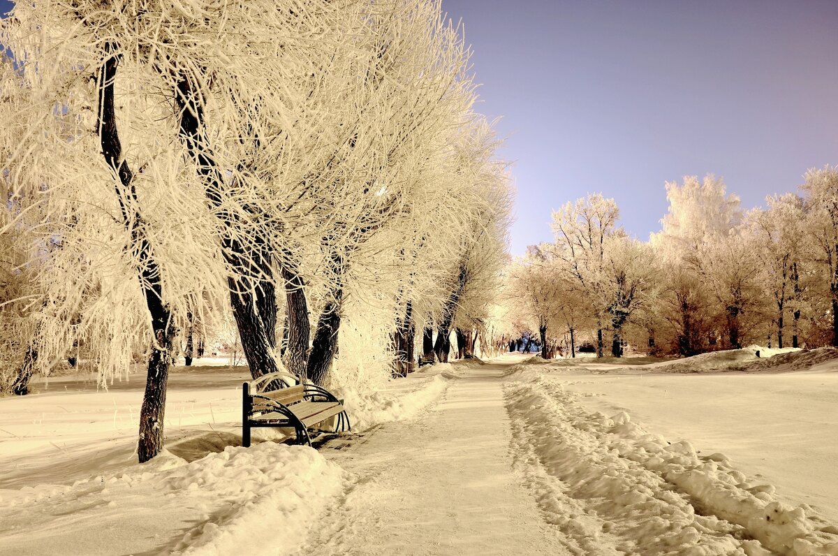 Утро в парке. - Михаил. 