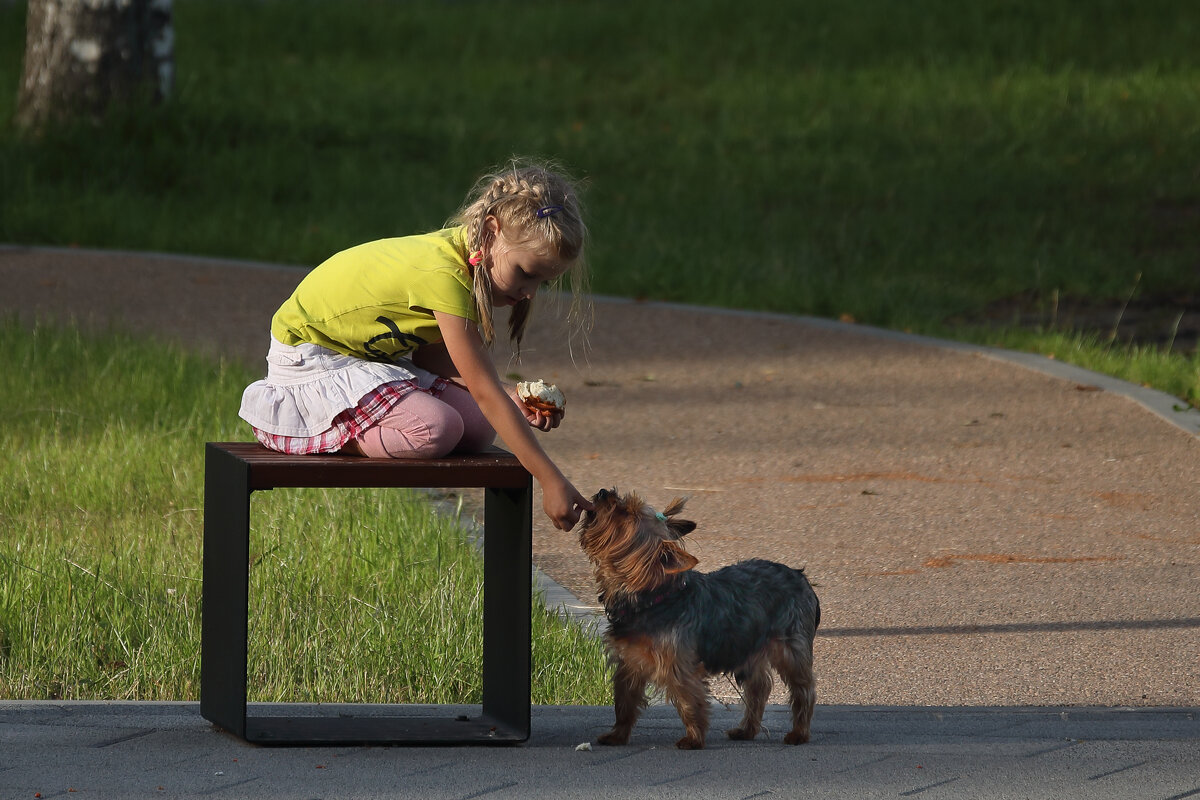 Забота о братьях наших меньших - Игорь Шевченко