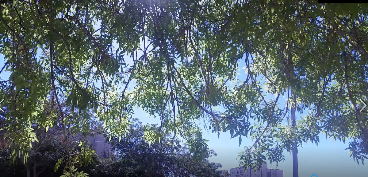 13  ОПЕН (883) - OPEN WAYS ALL