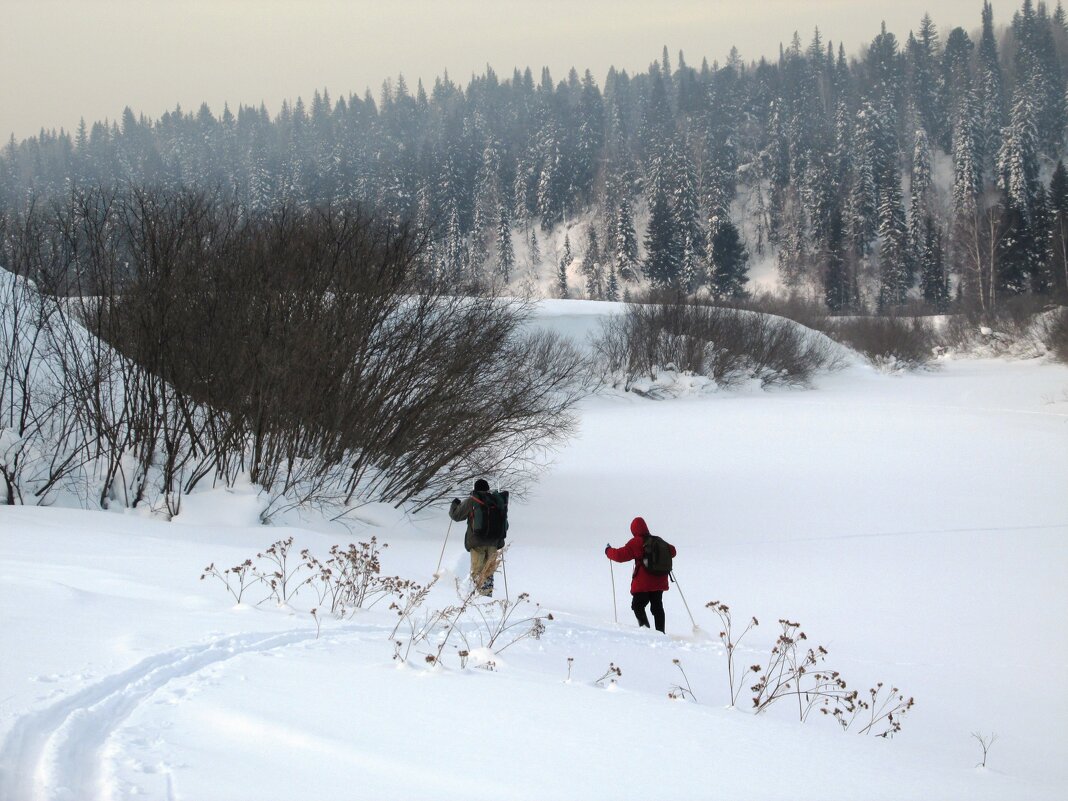 В тайгу... - Galaelina ***