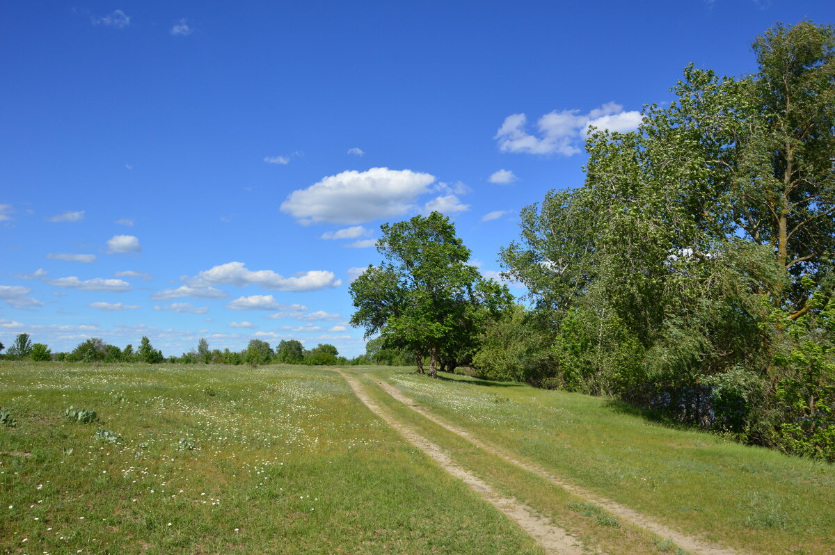 Мои лороги. - Виктор 