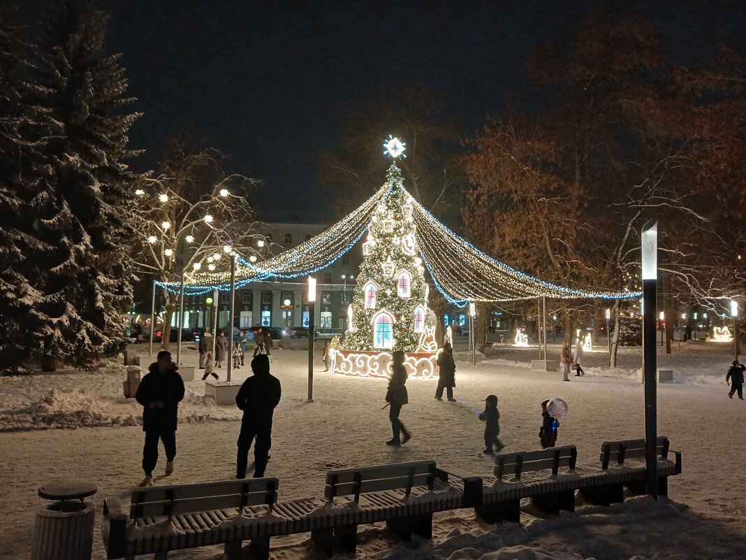Псков новогодний - BoxerMak Mak