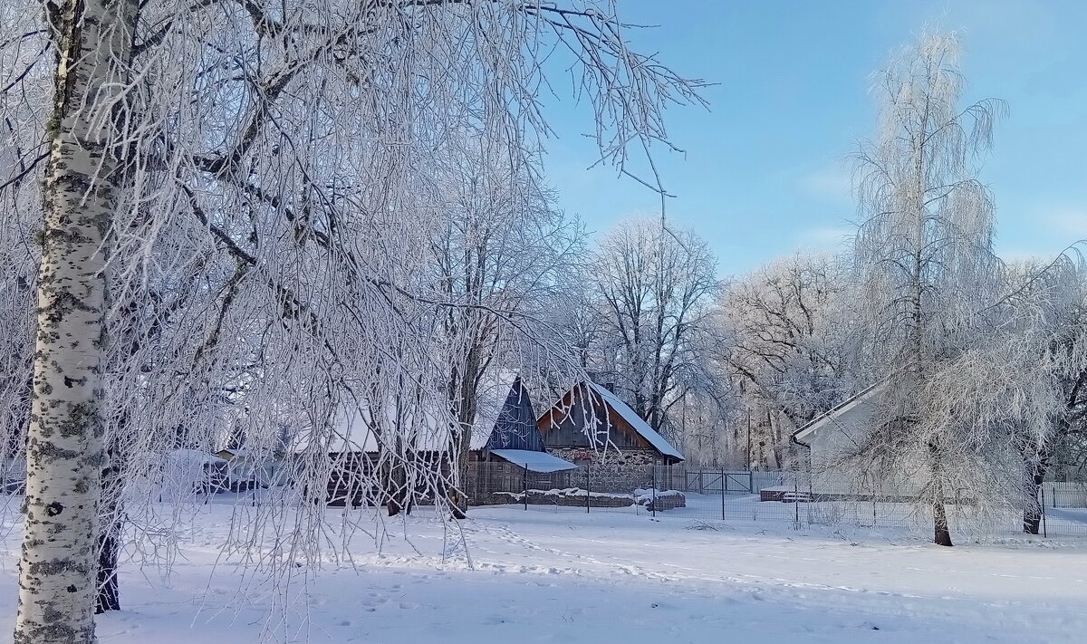 Прекрасный январь ... - Татьян@ Ивановна