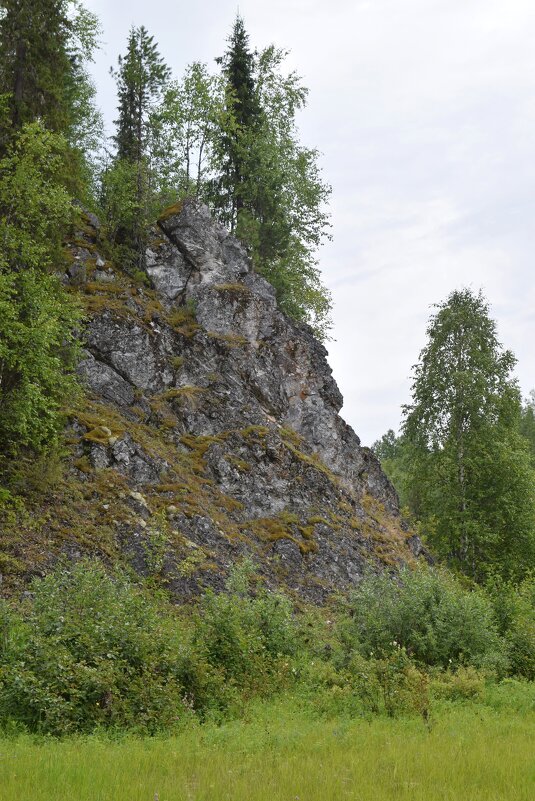 Скальник прибрежный. - ВикТор Быстров