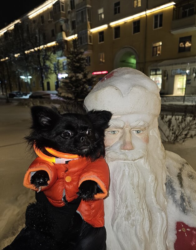 ) - Светлана 13.06.