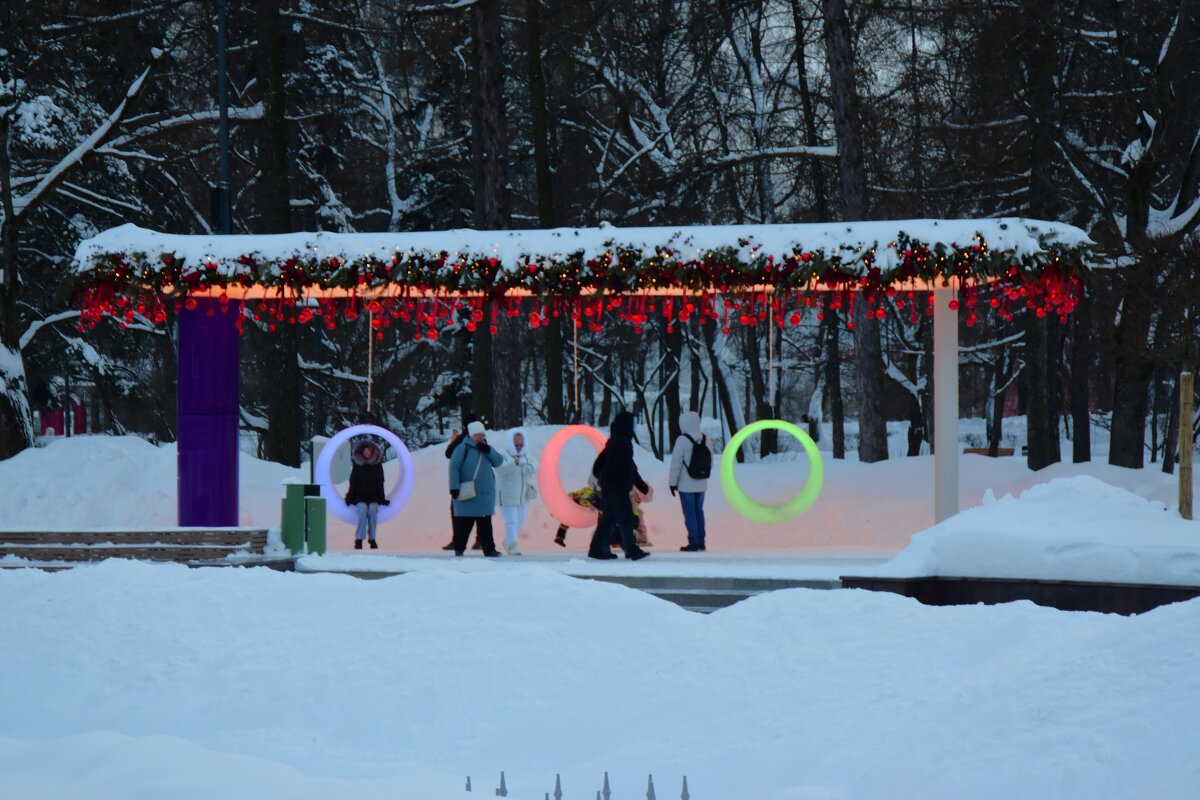 Крылатые качели. - Наталья Вязигина